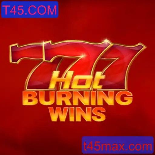 Explorando o Fascinante Mundo de HotBurningWins: Um Guia Completo